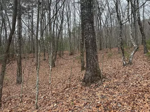 00 Marrestop, Murphy, NC 28906 photo 2