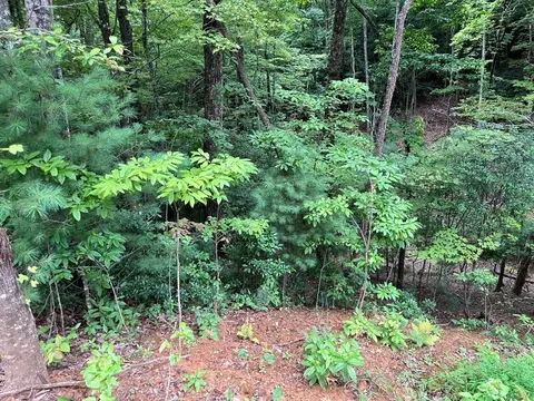 tbd Atoah Loop, Murphy, NC 28906 photo 6