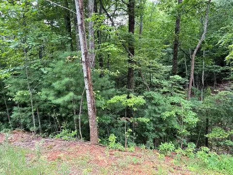 tbd Atoah Loop, Murphy, NC 28906 photo 7