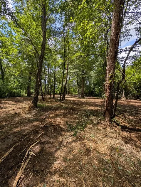 1 0 Ac Old Hwy 64 W, Warne, NC 28909 photo 13