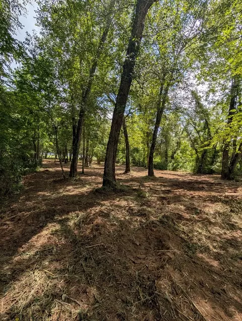 1 0 Ac Old Hwy 64 W, Warne, NC 28909 photo 11