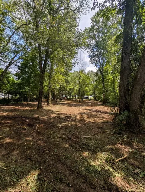 1 0 Ac Old Hwy 64 W, Warne, NC 28909 photo 9