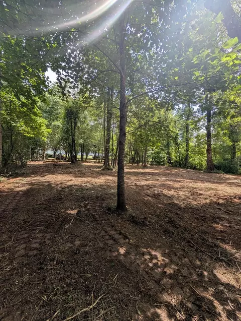 1 0 Ac Old Hwy 64 W, Warne, NC 28909 photo 12
