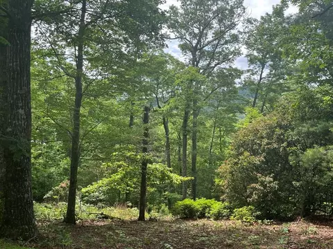lot40 Burger Rd, Murphy, NC 28906