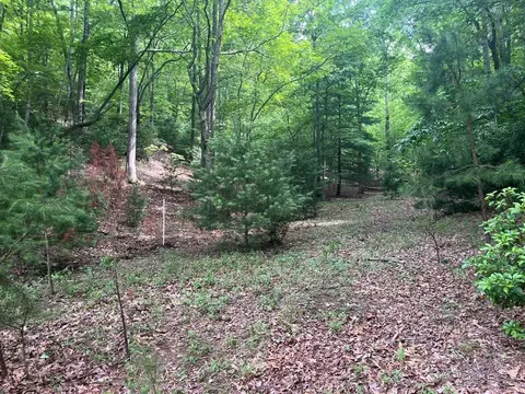 lot64 Cirrus Dr, Murphy, NC 28906 photo 3