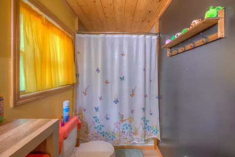 Bath - 361 Tall Timber Rd, Murphy, NC 28906 photo 2 of 2