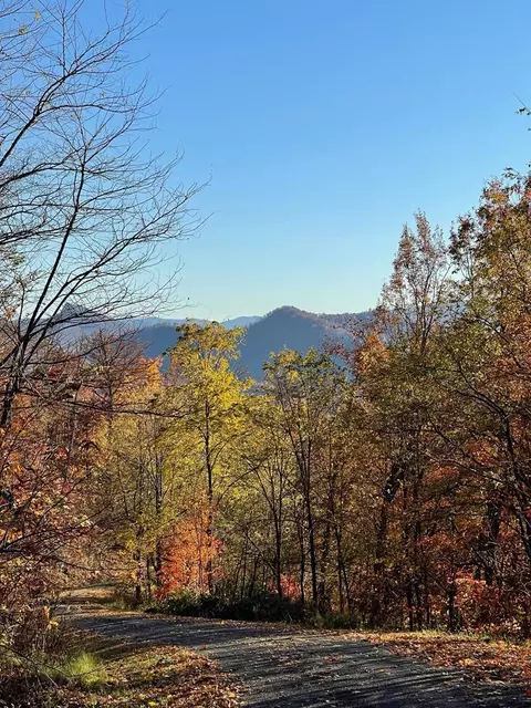 lot58 M Rdgs, Hayesville, NC 28904