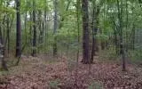 00 Lady Ln, Murphy, NC 28906