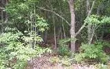 00 Lady Ln, Murphy, NC 28906 photo 2