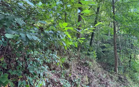 lot77 Fires Creek Cv, Hayesville, NC 28904