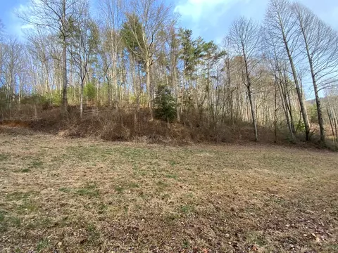 lot4 Ivy Log Rd, Murphy, NC 28906 photo 4
