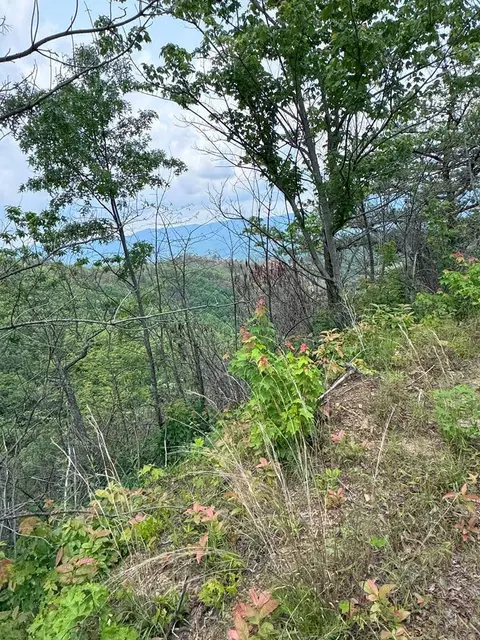 88 Acres Bolden Br, Andrews, NC 28901