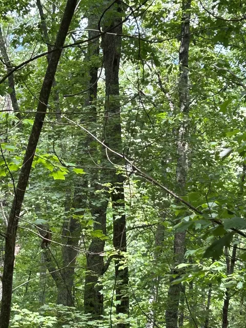 0 Ten Pointe Trl, Murphy, NC 28906 photo 2