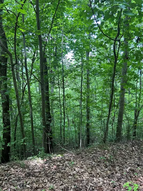 0 Ten Pointe Trl, Murphy, NC 28906 photo 3