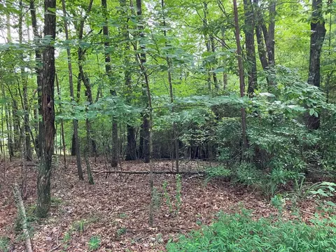 Lt 41 Floris, Murphy, NC 28906