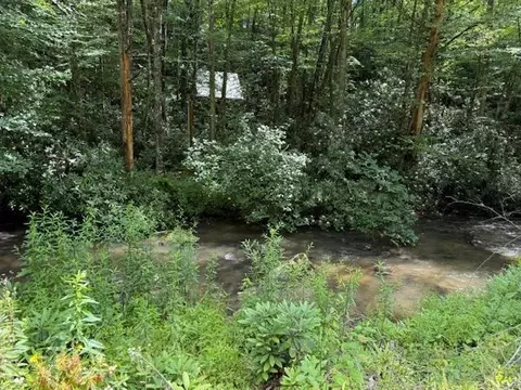 7656 Little Snowbird Rd, Robbinsville, NC 28771