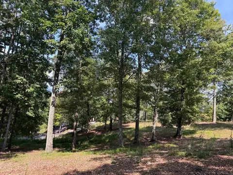 0 Madison Ln, Brasstown, NC 28902