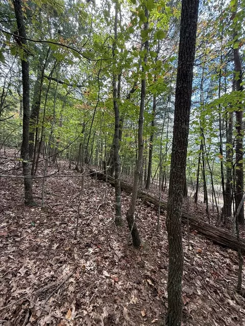lot15 Timber Lane Ests, Murphy, NC 28906 photo 2