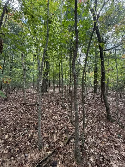 lot15 Timber Lane Ests, Murphy, NC 28906 photo 7