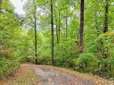 lot1 Skyview Dr, Hayesville, NC 28904