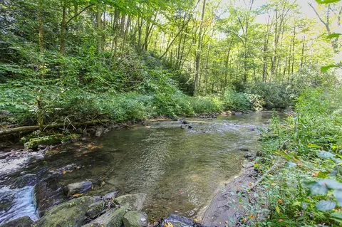 9765 Little Snowbird Rd, Robbinsville, NC 28771