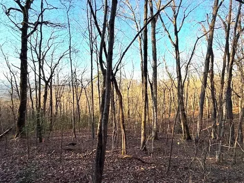 7 0 Ac Laurel Dr, Marble, NC 28905 photo 9