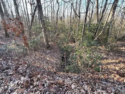 7 0 Ac Laurel Dr, Marble, NC 28905 photo 6