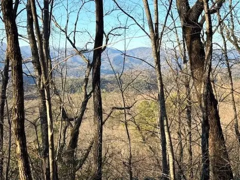 7 0 Ac Laurel Dr, Marble, NC 28905