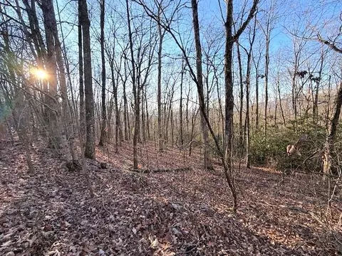 7 0 Ac Laurel Dr, Marble, NC 28905 photo 4