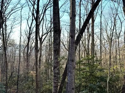 7 0 Ac Laurel Dr, Marble, NC 28905 photo 5