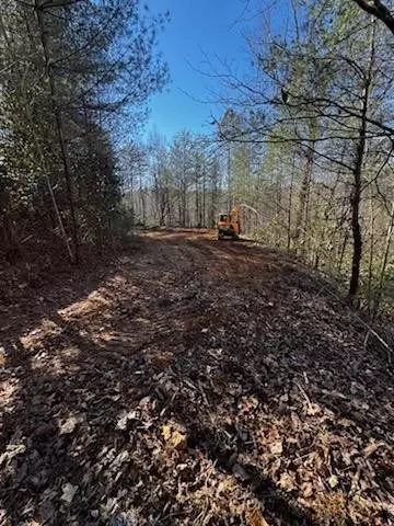 lot15 Paradise, Marble, NC 28905