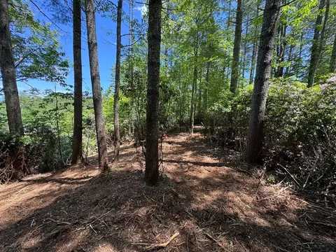 79 Forrest Edge Dr, Murphy, NC 28906 photo 6