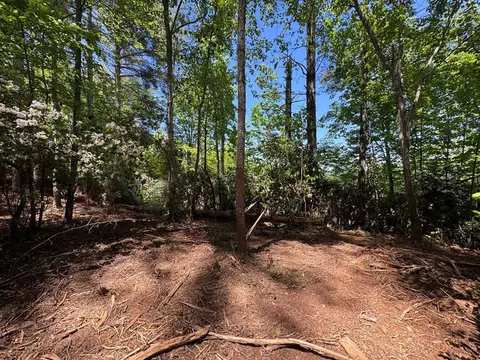 79 Forrest Edge Dr, Murphy, NC 28906 photo 11