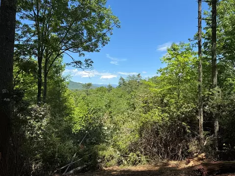 79 Forrest Edge Dr, Murphy, NC 28906 photo 4