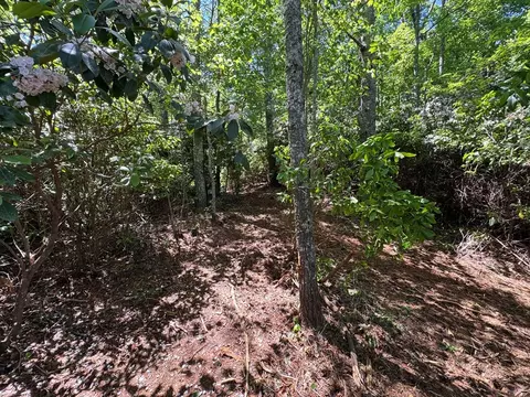 79 Forrest Edge Dr, Murphy, NC 28906 photo 5
