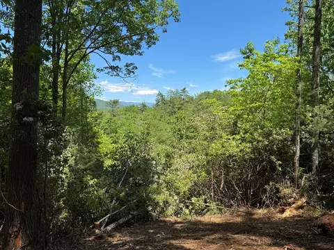 79 Forrest Edge Dr, Murphy, NC 28906 photo 3
