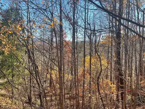 lot41 C Ash Branch Cir, Hayesville, NC 28904
