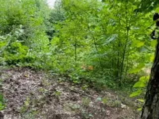 000 Turkey Pen Dr, Murphy, NC 28906 photo 2