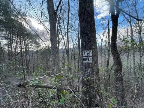 Lt 75e&f Turkey Walk Drive, Marble, NC 28905 photo 5