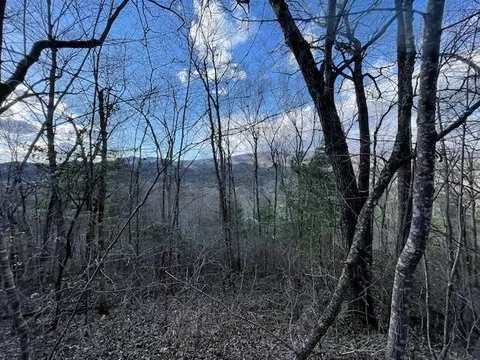 Lt 75e&f Turkey Walk Drive, Marble, NC 28905 photo 4