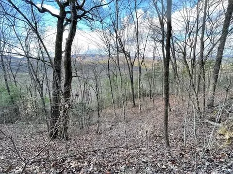 Lt 75e&f Turkey Walk Drive, Marble, NC 28905 photo 6