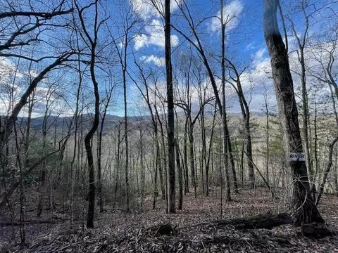 Lt 75e&f Turkey Walk Drive, Marble, NC 28905 photo 3