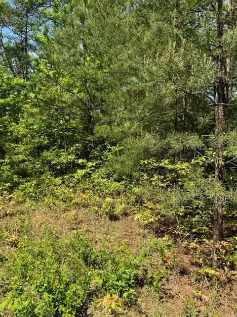 lot12 Paradise, Marble, NC 28905