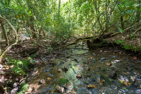 26 98 Ac Tusquittee, Hayesville, NC 28904