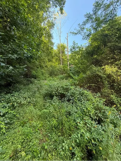lot2 Varsity Dr, Sylva, NC 28779 photo 2