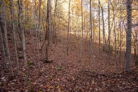 Undisclosed, Murphy, NC 28906 photo 6