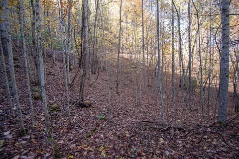 Undisclosed, Murphy, NC 28906 photo 2