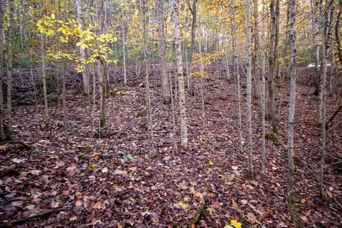 Undisclosed, Murphy, NC 28906 photo 3