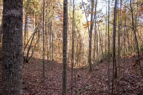 Undisclosed, Murphy, NC 28906 photo 7