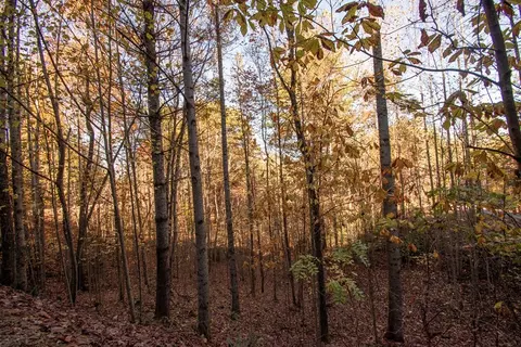 Undisclosed, Murphy, NC 28906 photo 4